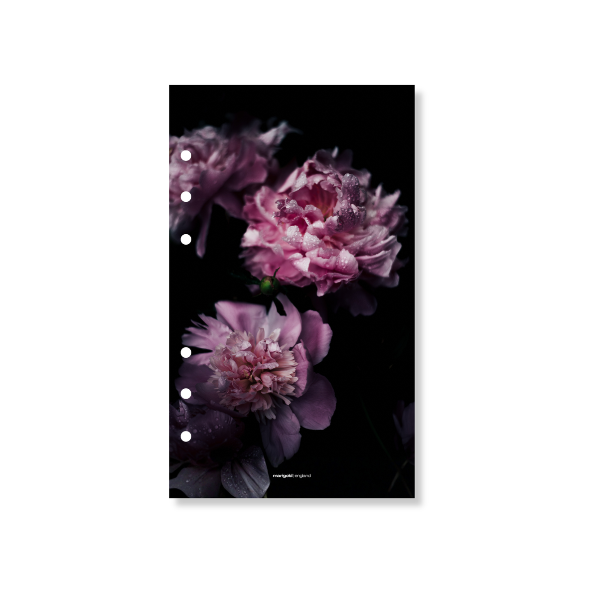 Floral Dashboard